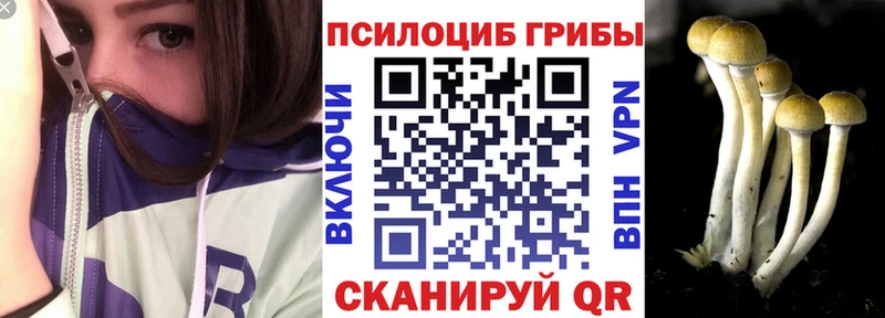 Галлюциногенные грибы Cubensis  Купить где  Павловск 